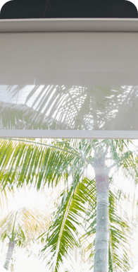 Window Shades